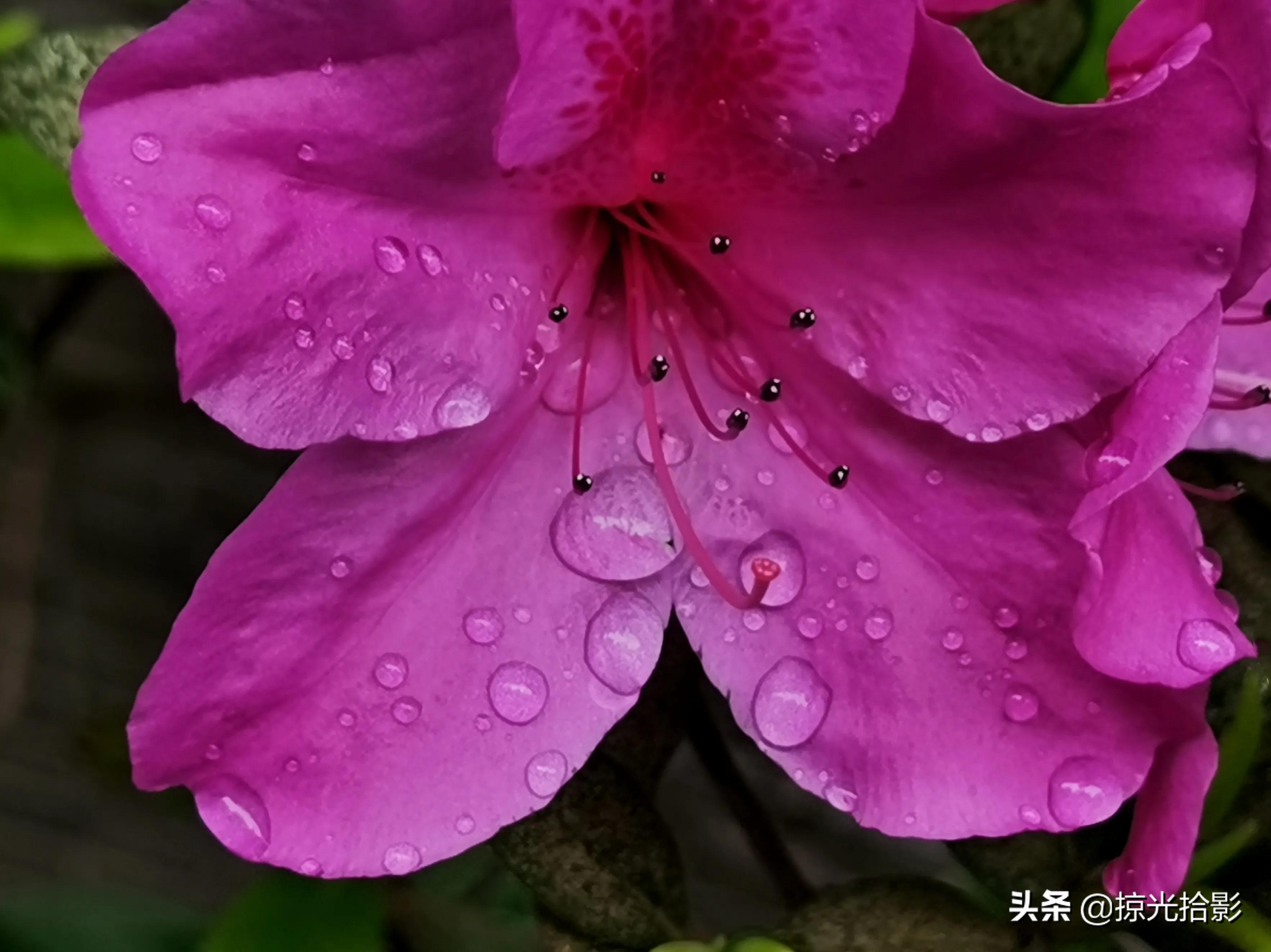 手机拍出清晰照片的20个技巧,手机小技巧怎么样拍出好照片