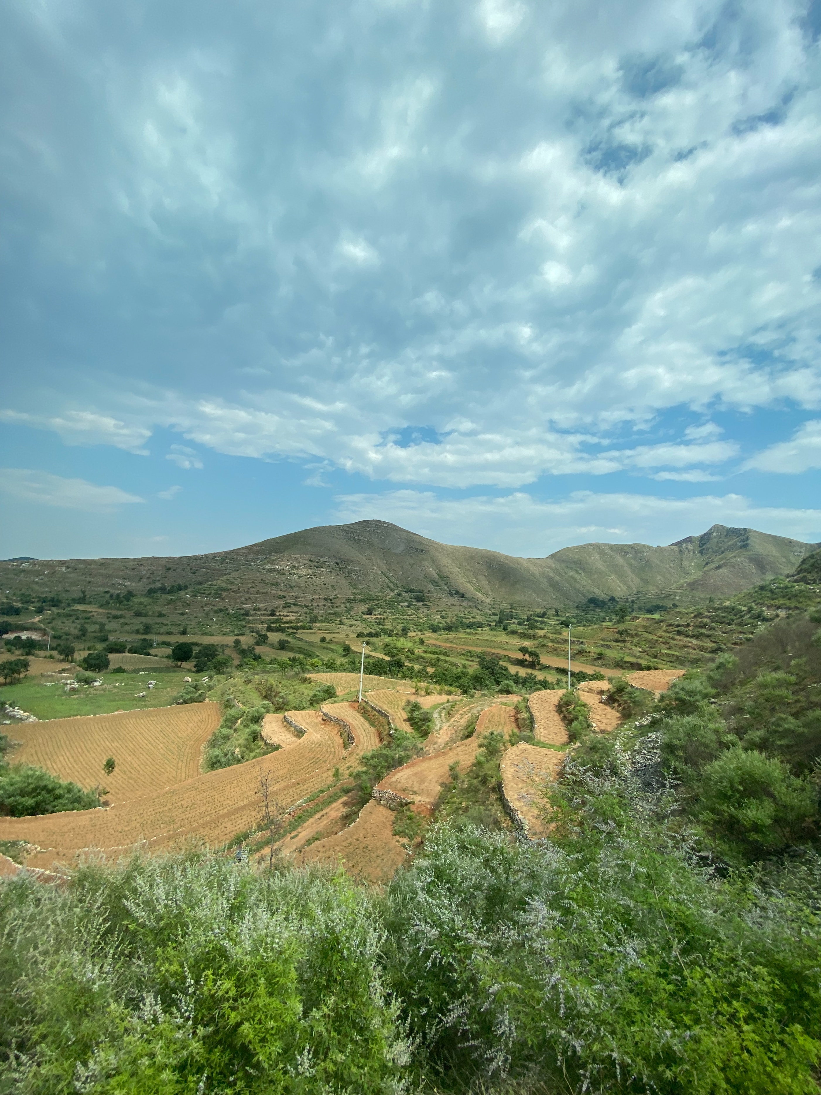 知识改变命运云南网红,知识改变命运网红