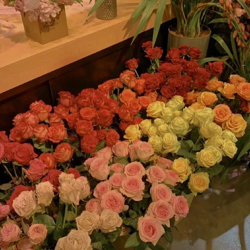 閲嶅悕鐜囧緢灏忕殑缃戝悕,涓嶆槗閲嶅悕闂鸿湝缃戝悕