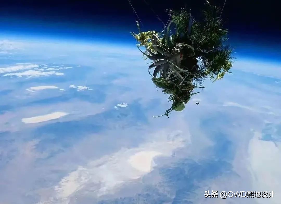 「设计篇」这些艺术家的脑洞，地球都容不下了…