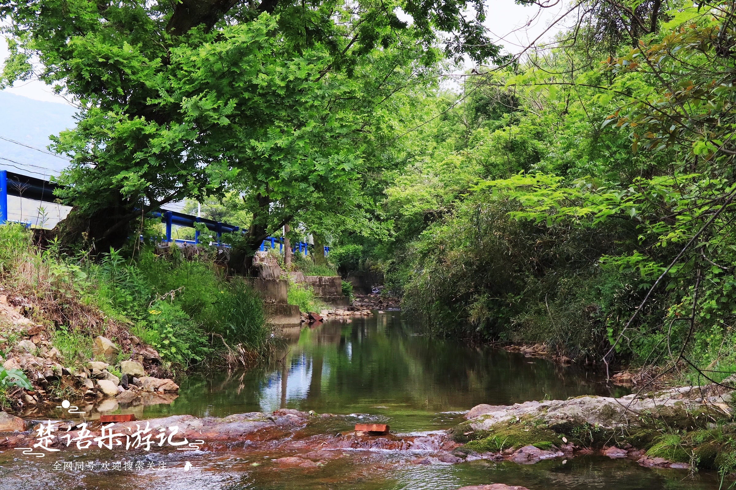 宁波东钱湖古村网红打卡地,宁波东钱湖湿地秘境
