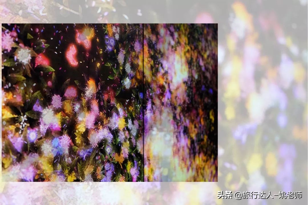 酒店测评房间开了两户,全球十大酒店测评