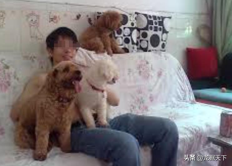 中国留学生杀害父母藏尸家中,中国留学生食尸案