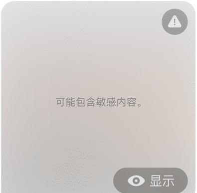 ios17内容与隐私限制需要怎么设置,ios17更新后出现的数据隐私