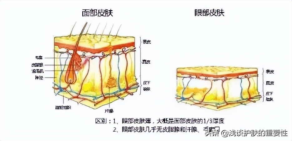 选购眼霜,眼霜的选购