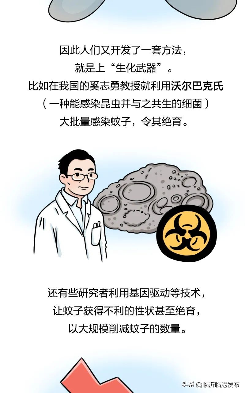 为什么不将蚊子赶尽杀绝,彻底绝杀蚊子的妙招
