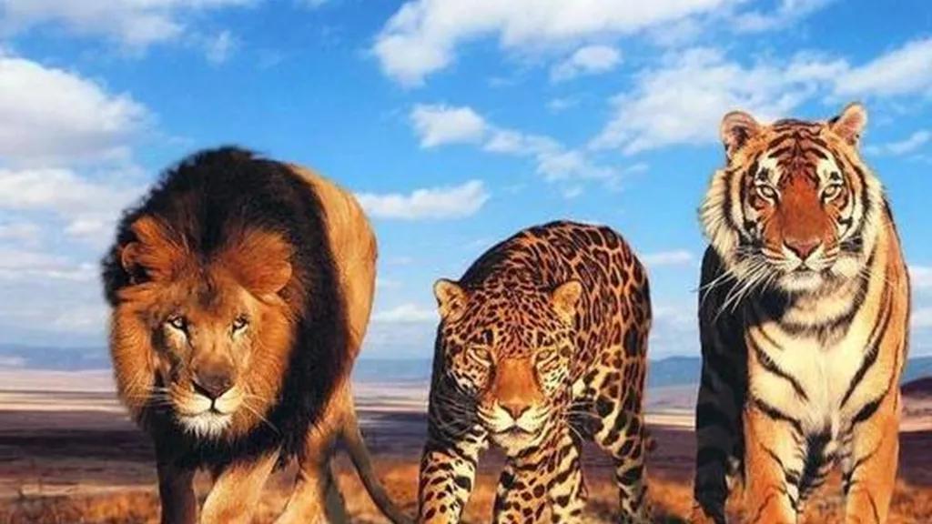 中国历史风流人物介绍,中国历史风流才子