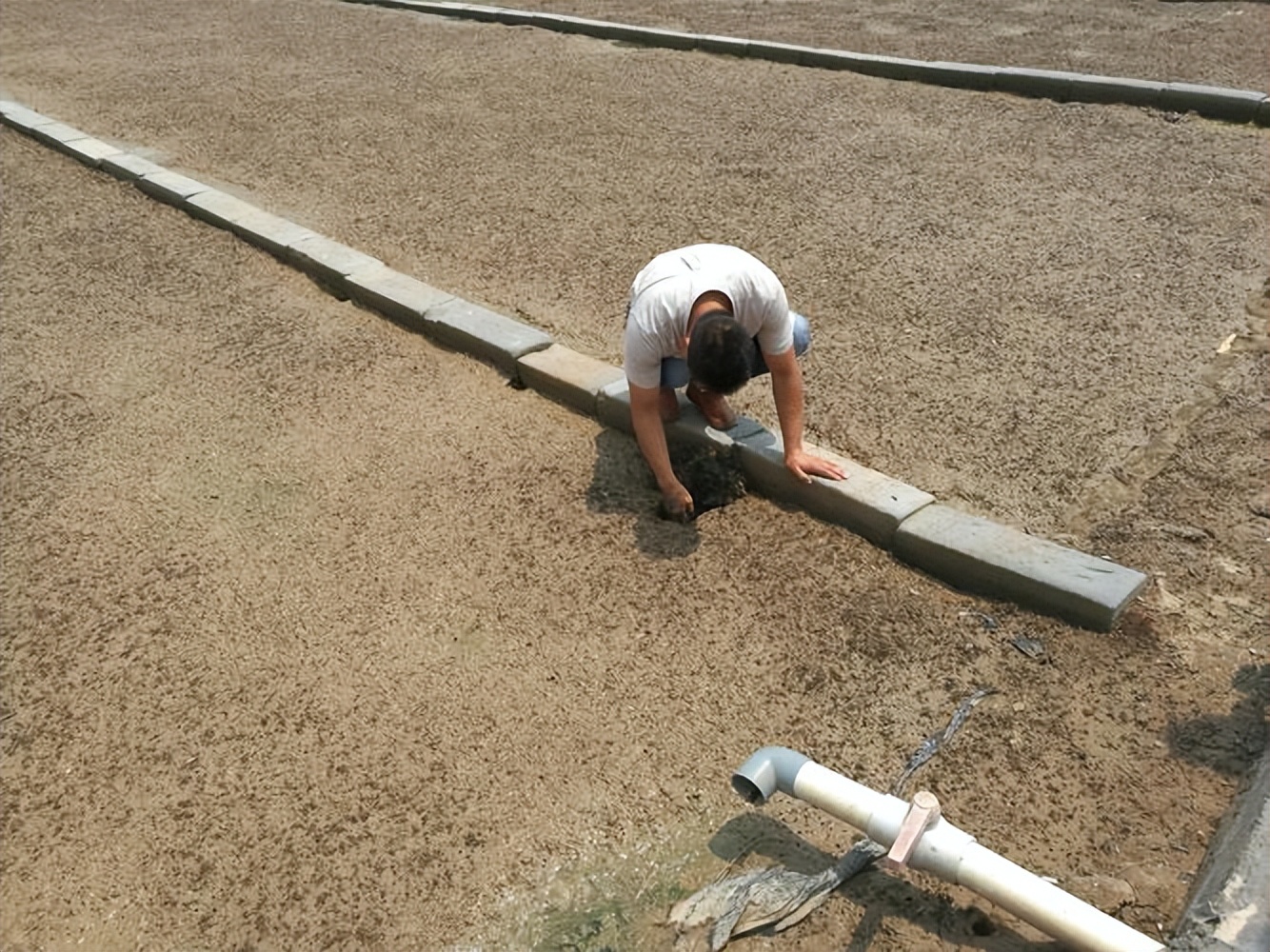 海水养殖产业发展现状调查,中国海水养殖业的发展历程