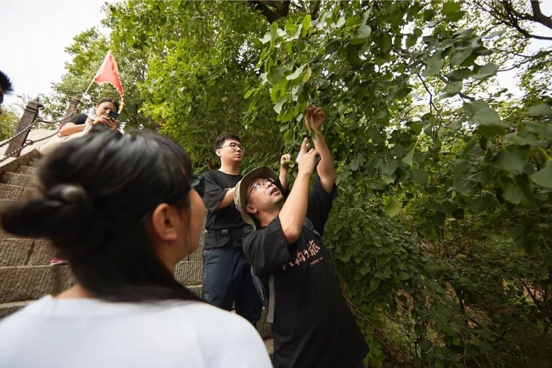 吃到嗓子眼的牛肉面,吃到嗓子眼的榴莲自助