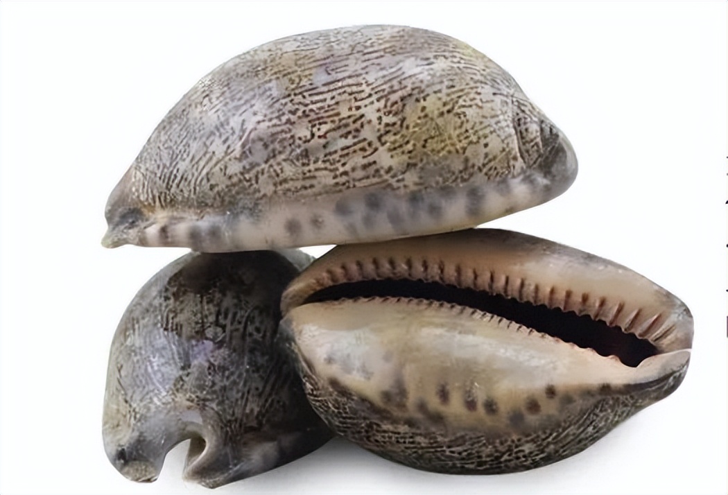 楚辞描写中药,楚辞中的养生