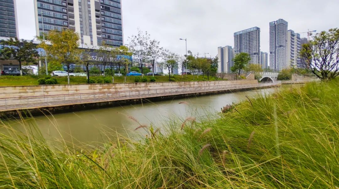 南沙横沥金融岛最新消息,横沥岛将建成国际金融岛