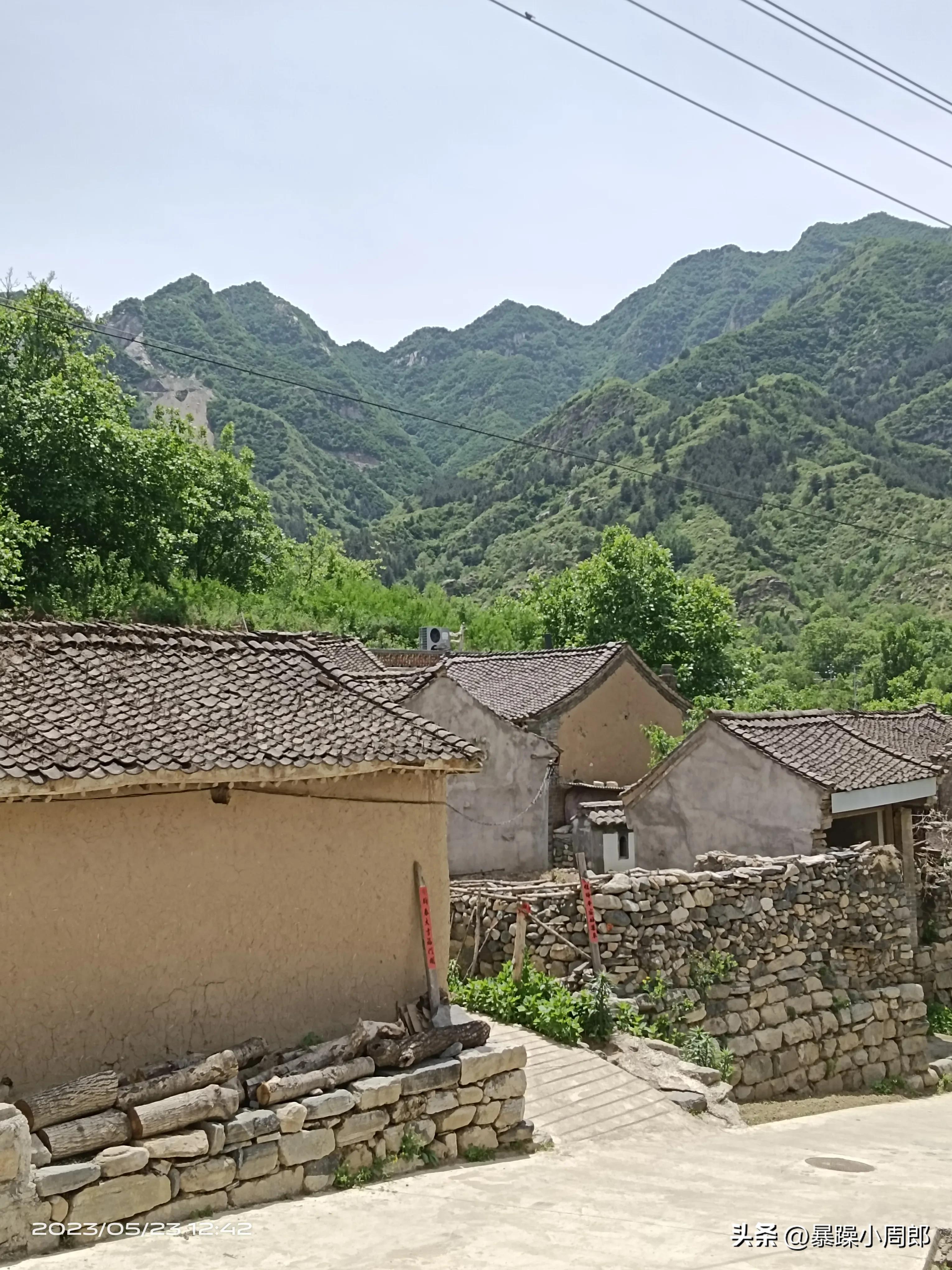 德川家康大奥,德川家康怎么崛起的