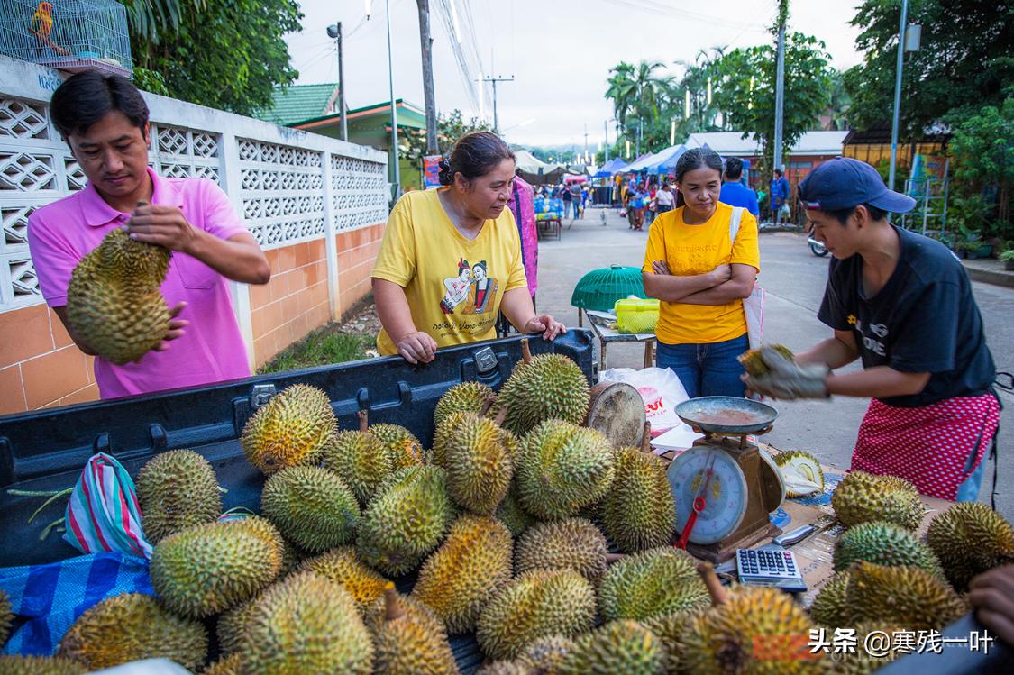 泰国榴莲在泰国卖多少钱一斤,在泰国榴莲批发价