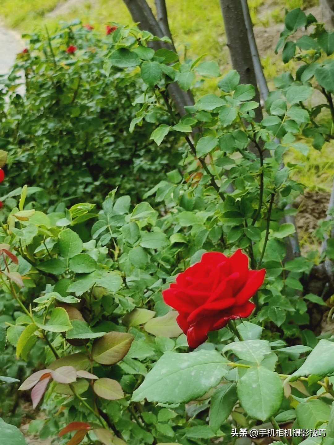 最有违和感的照片,盘点那些毫无违和感的图片