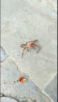 地铁时髦的上海阿姨,上海地铁阿姨的塑料袋