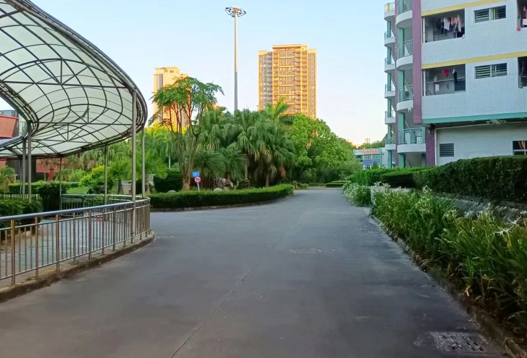 甲友心声和甲癌的关系,甲友心声全文