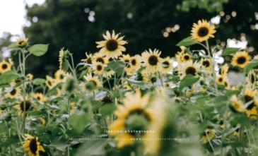 郑州冬季周末遛娃好去处,郑州金沙湖高尔夫观邸遛娃