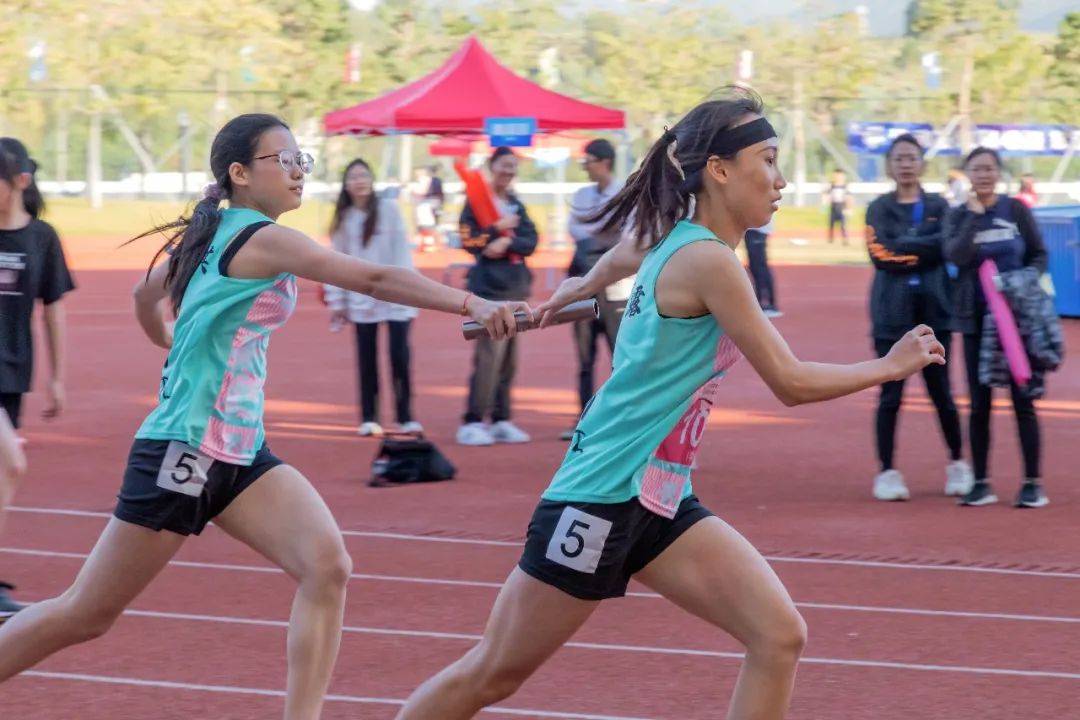 城市交通与物流专业介绍,城市交通与物流学院代码