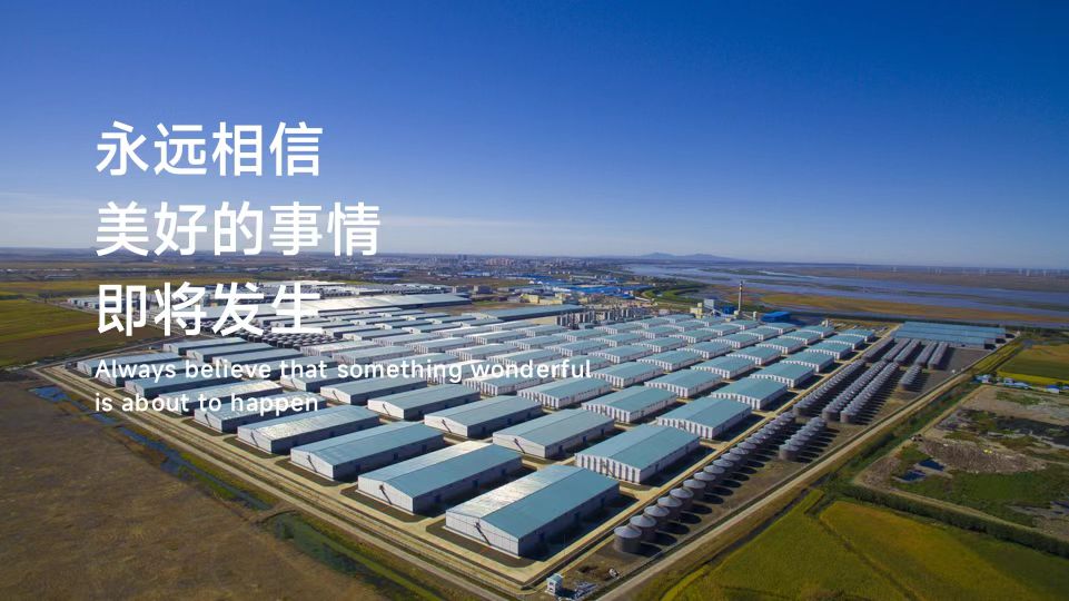 刷单被骗30万的全职妈妈,刷单骗局宝妈被骗580万