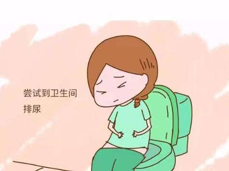科普|人生第一所房子——“子宫”的恢复