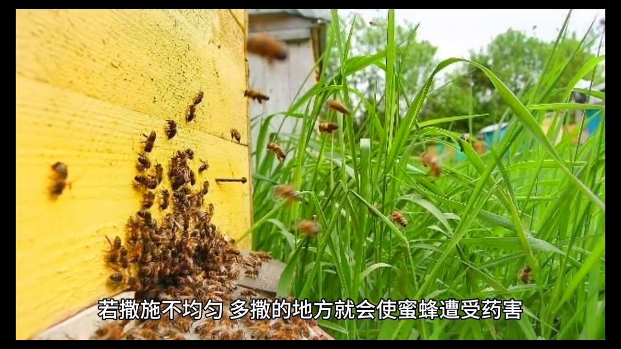 蜜蜂养殖最新杀螨技术,蜜蜂有蜂螨不治疗会有什么后果