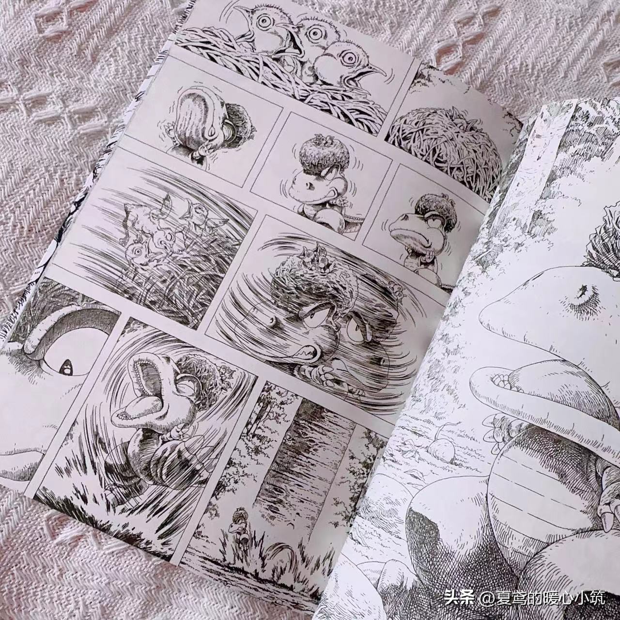 勇气与决心，成就你的梦想，跟着阿贡一起实现