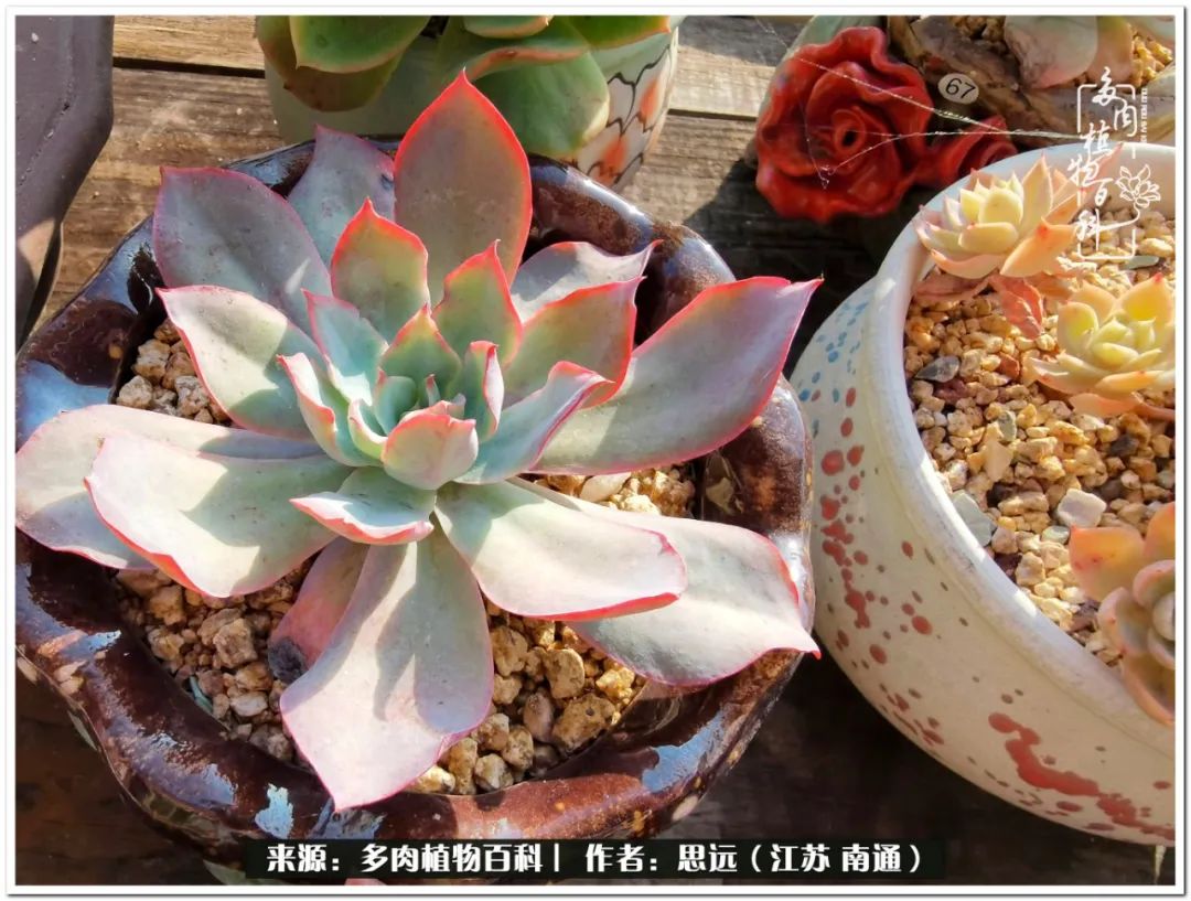 隔着时间的深爱，来自秋天的私语