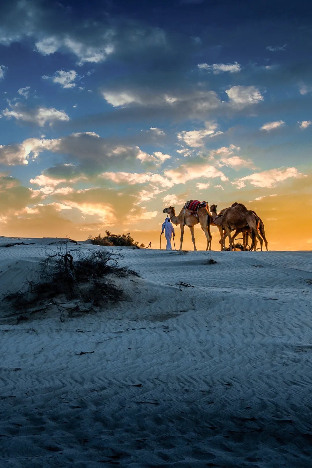 世界杯完了以后的卡塔尔,今年世界杯为啥在卡塔尔