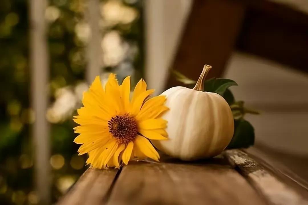 被老公指责没带好孩子搬出去,被老公责怪孩子带不好