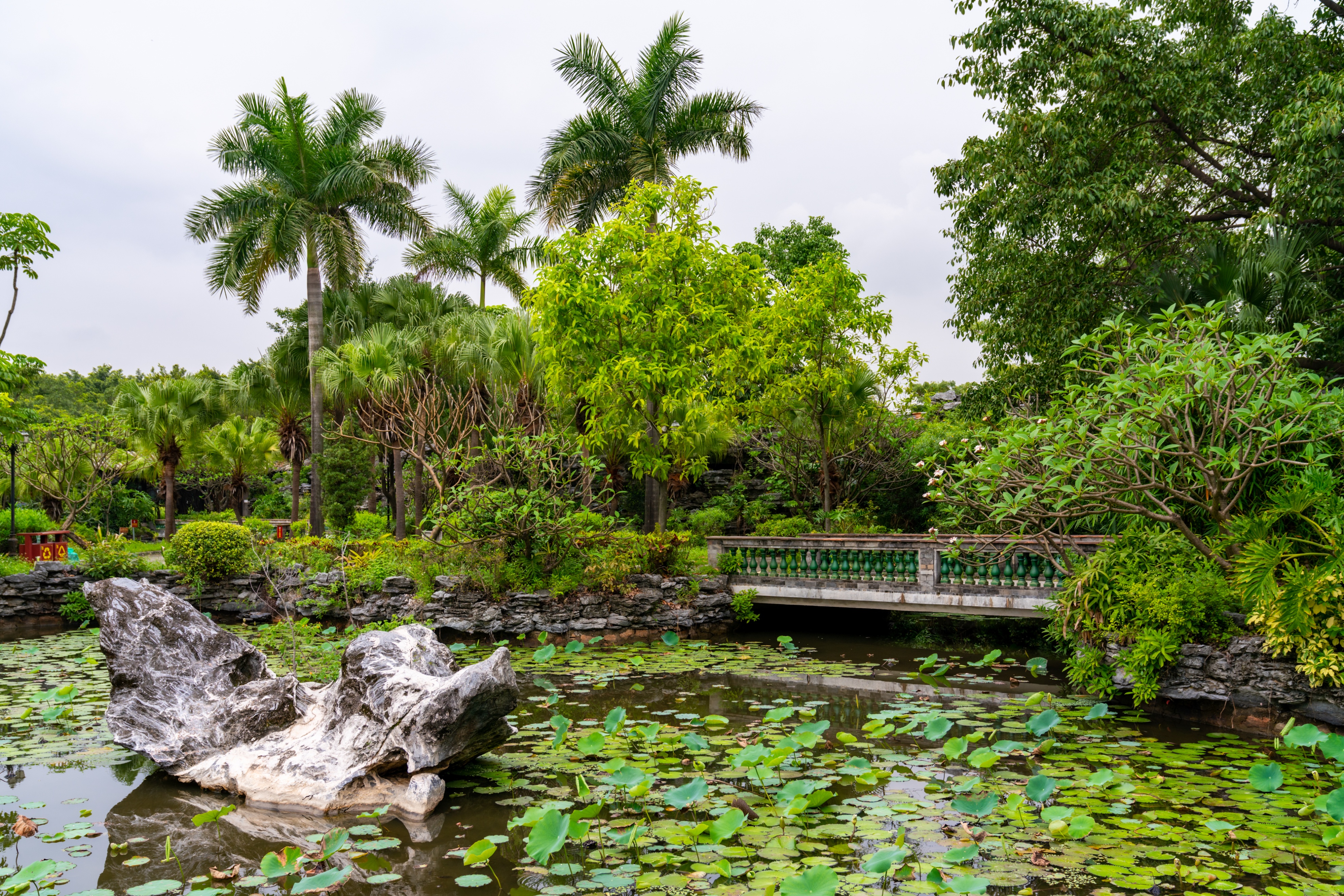 粤晖园国庆游,粤晖园自驾游攻略