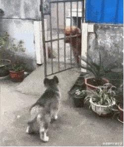 想要知道商品价格用什么扫,你想知道你是什么消费群体吗