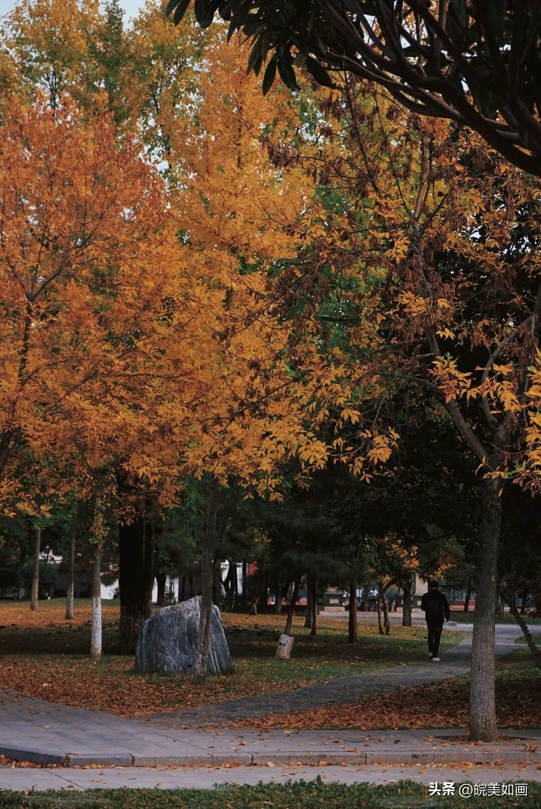 安徽大学好看的风景,高校最美秋景