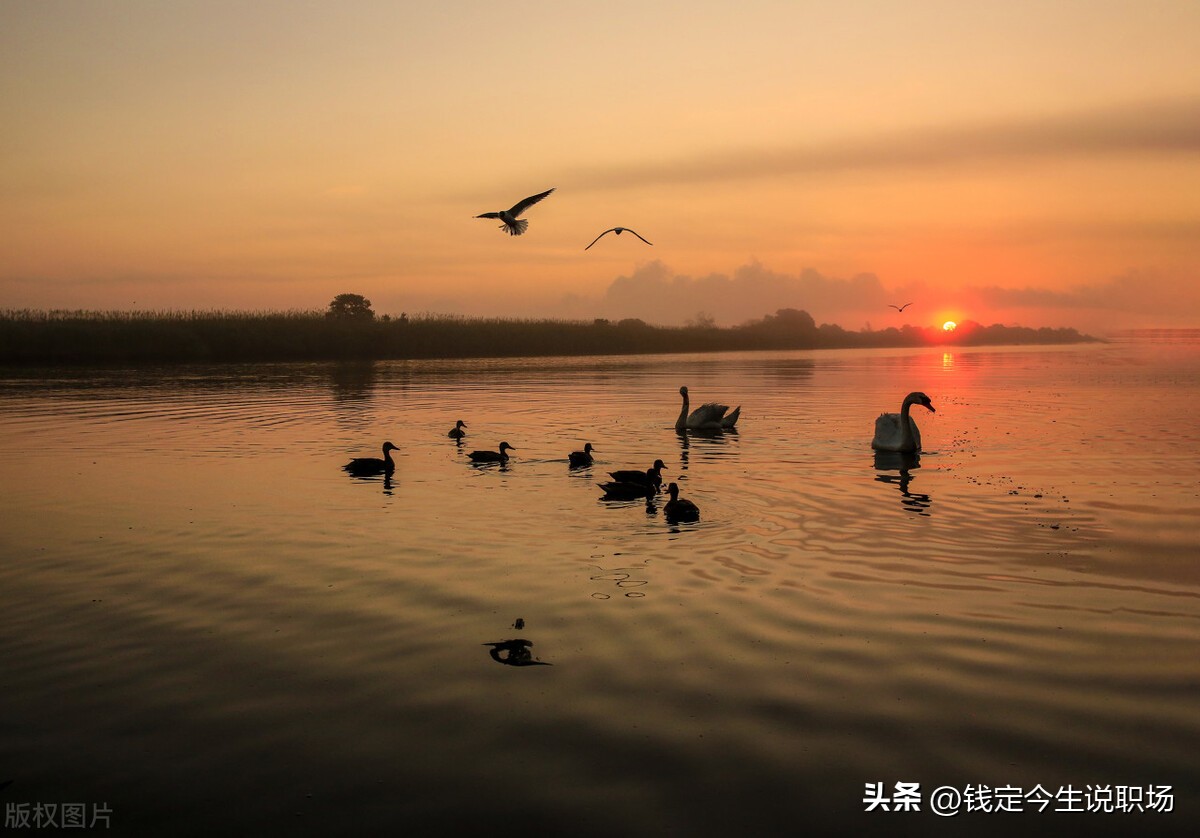职场做人大气有格局的句子,职场学会隐忍的经典语录
