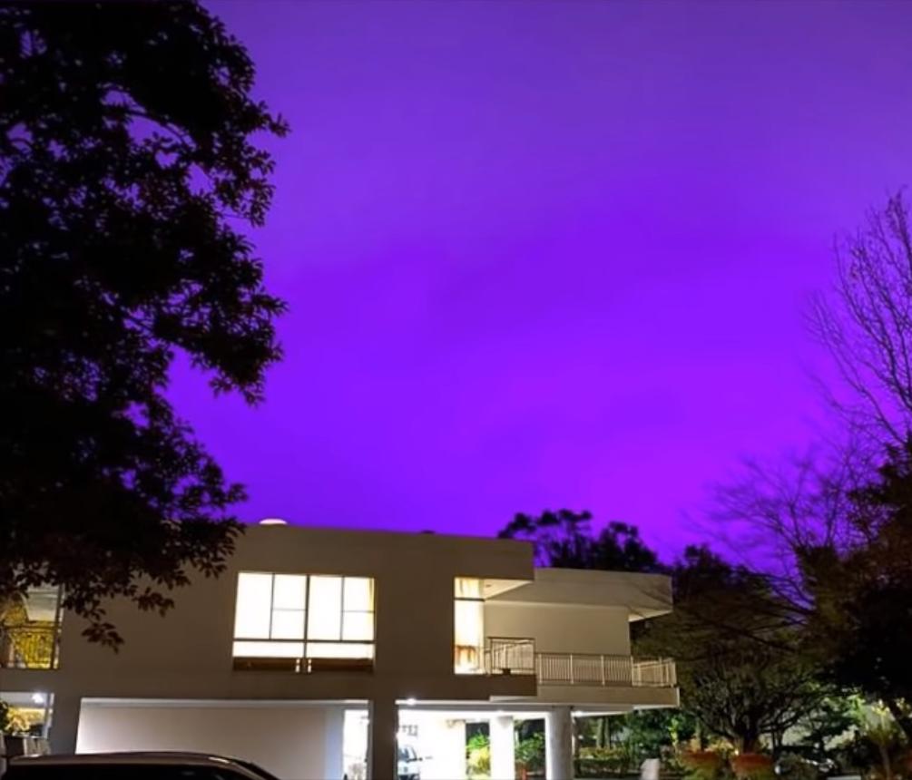 20张让人开怀大笑的猫咪照片,100张有趣猫咪照