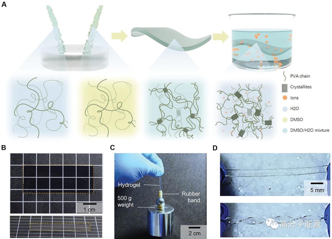 女神贺曦敏再发AM:防冻锌电池用水凝胶电解质