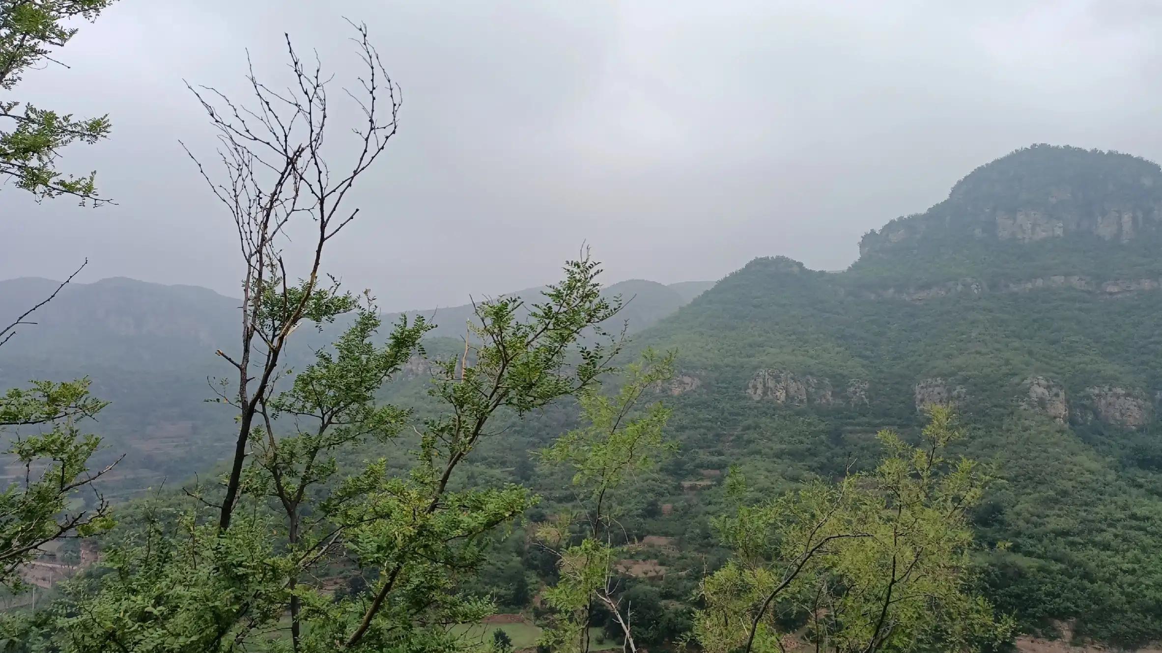 云山诗意,云山诗意广州