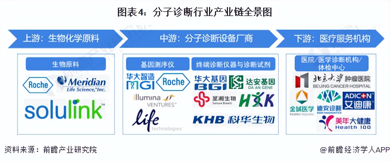 鍒嗗瓙璇婃柇琛屼笟娣卞害鍒嗘瀽,鍒嗗瓙璇婃柇琛屼笟2023鐜扮姸