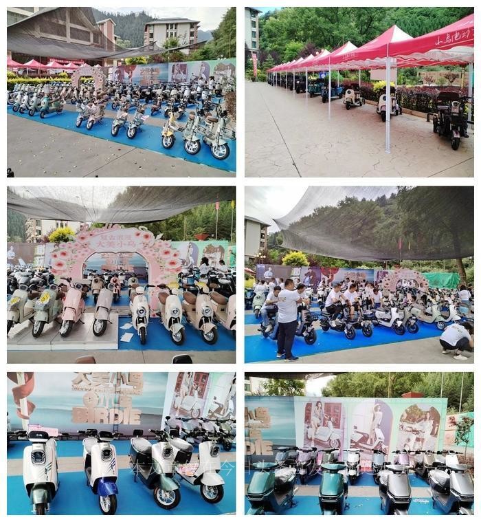 小鸟电动车边走边充电,小鸟电动车火爆