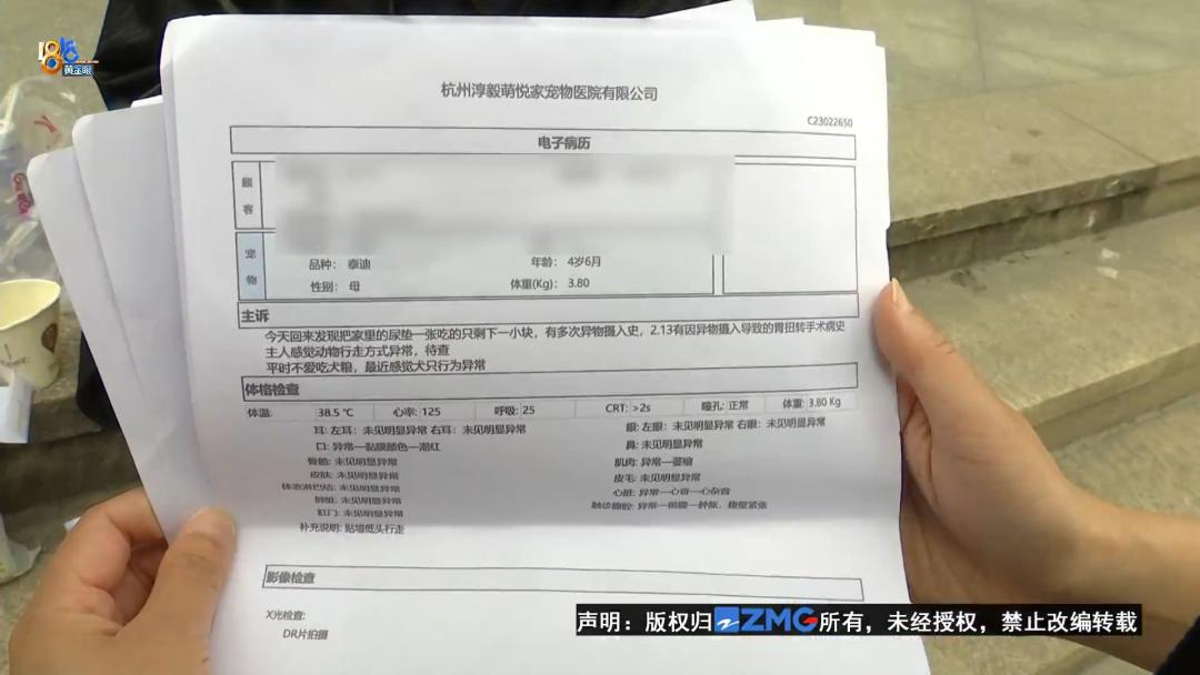 泰迪犬一旦出现这几个行为,泰迪犬能维持一个月吗