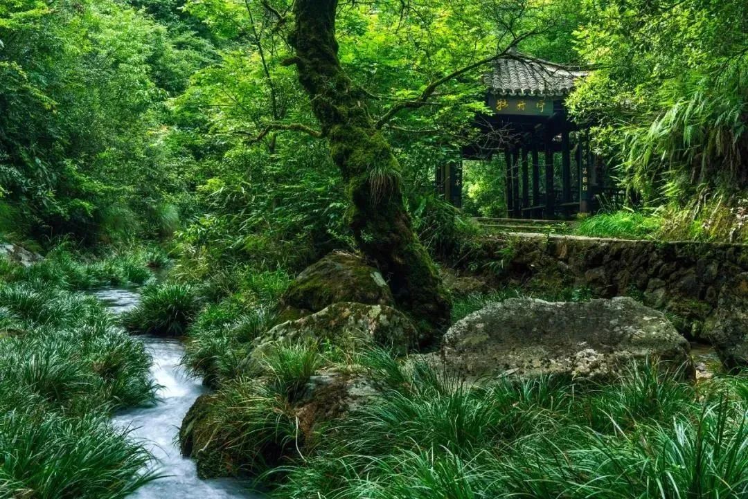 遂昌五一节旅行,遂昌旅游五一