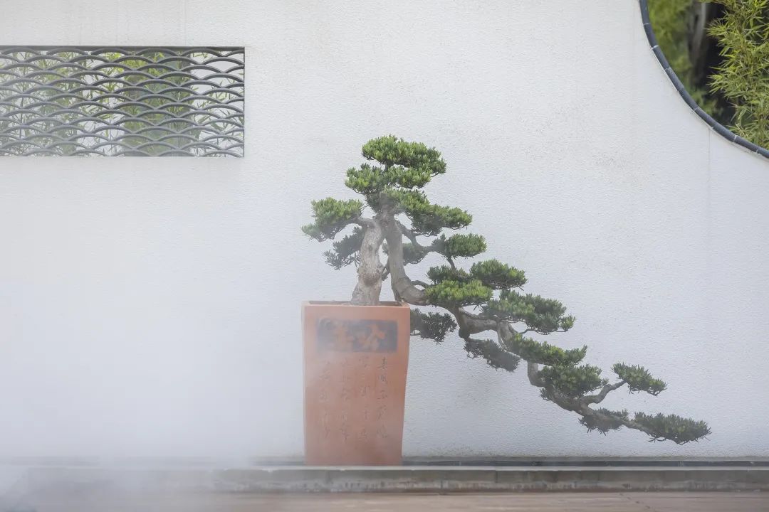 开席了！原来新津的梨花，还能这样吃！