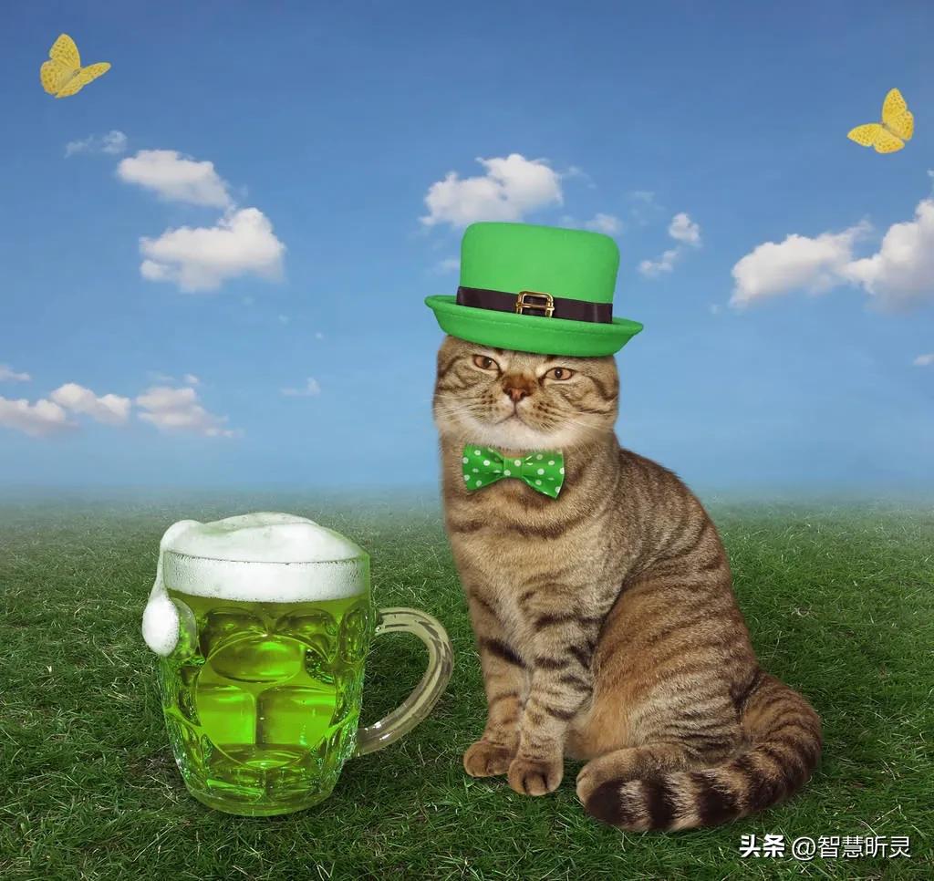 我的成长日记咋写,我的成长日记大全