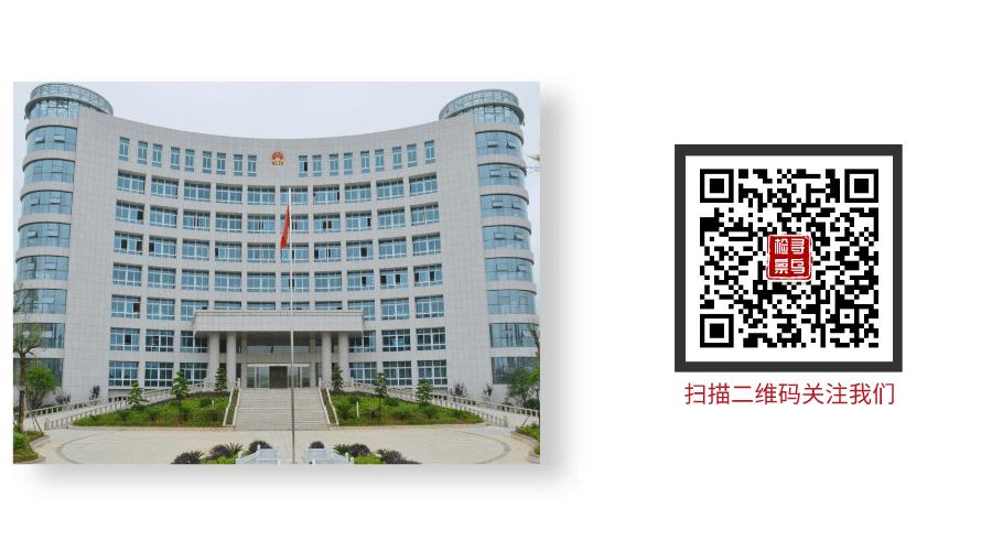 民法典遛狗不拴绳狗被撞如何判定,民法应该规定遛狗不拴绳后果自负