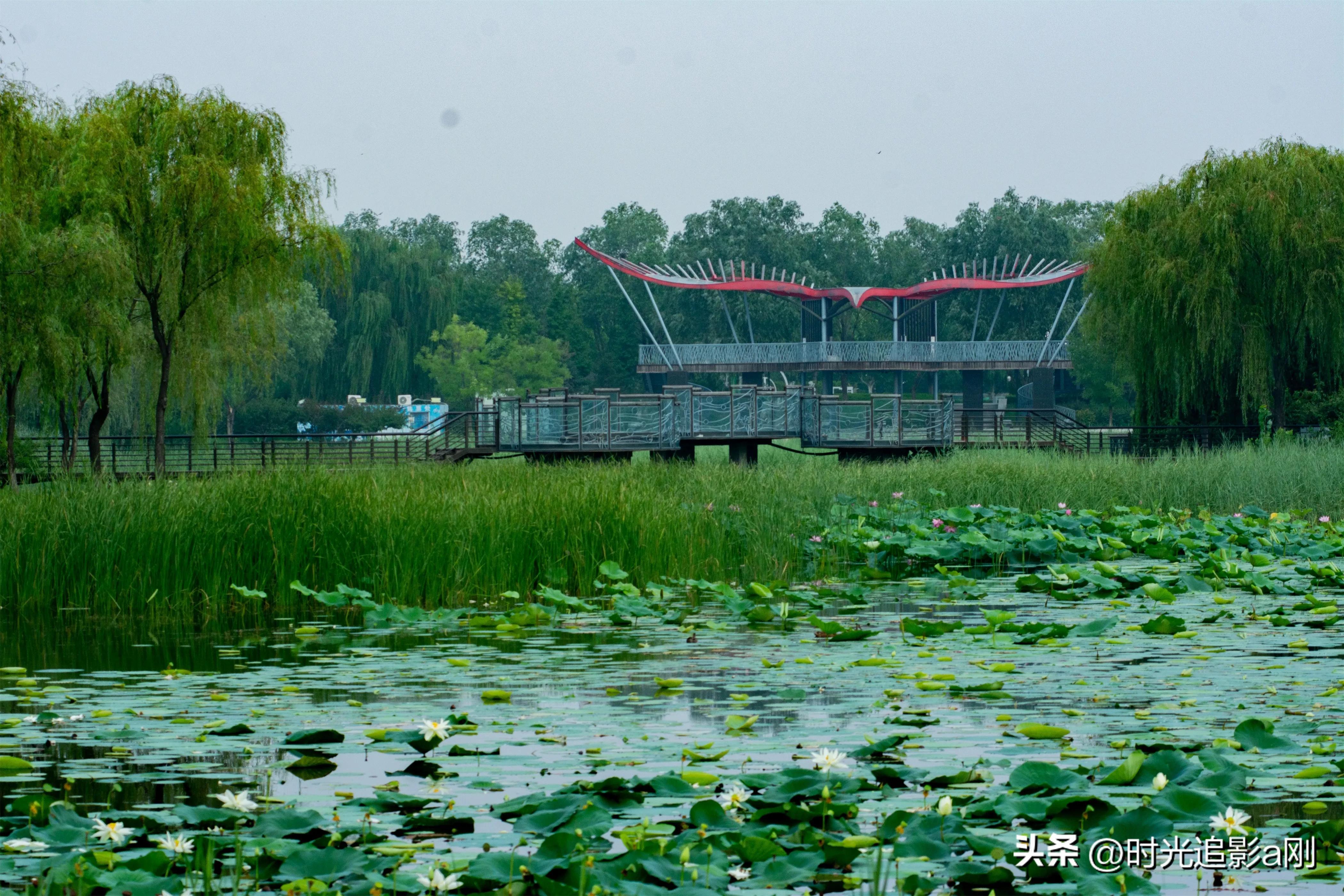 秋日时光音乐会花絮,秋日傍晚公园的美景