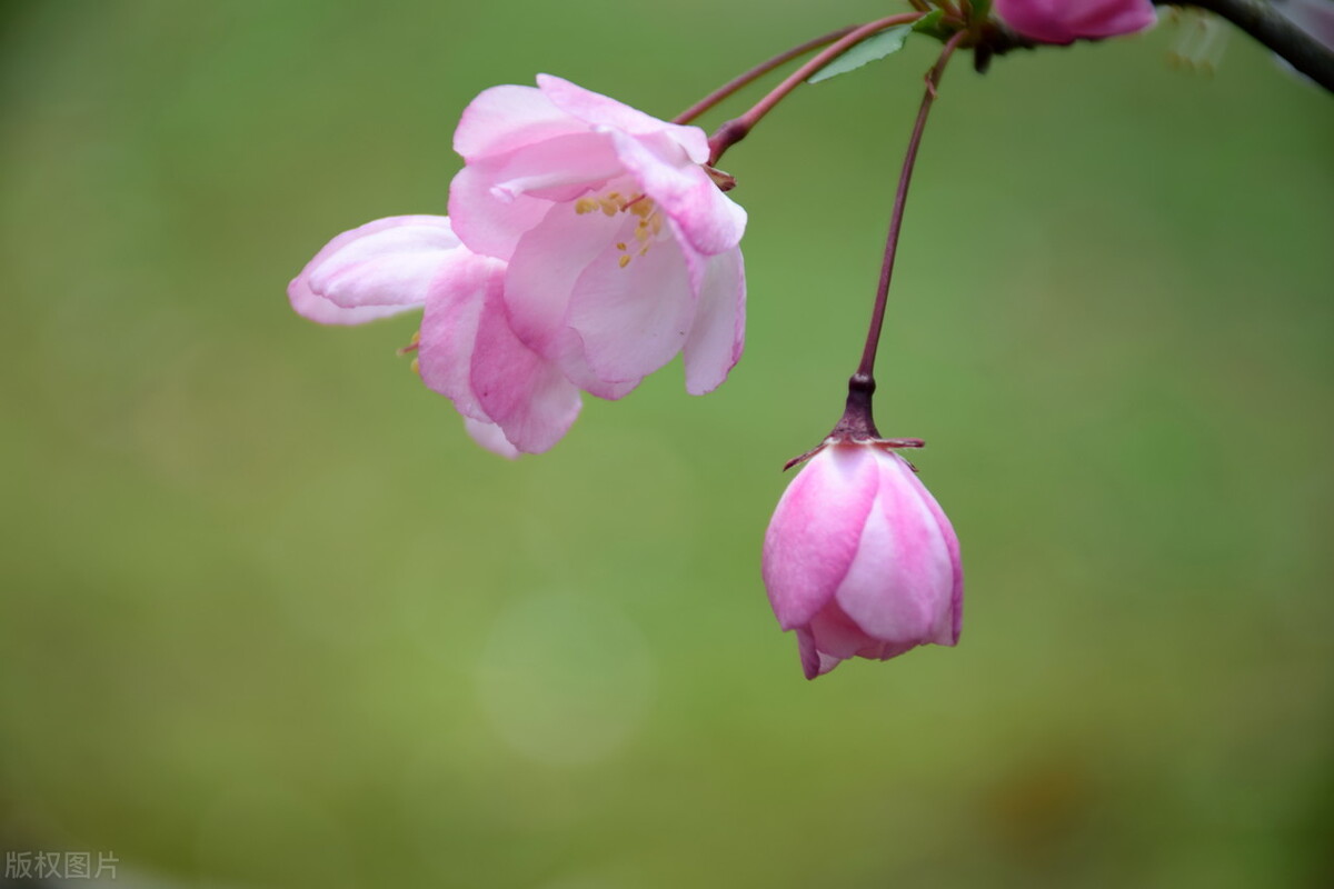 静心修心养心岁月安好,修得一颗平静淡然的心
