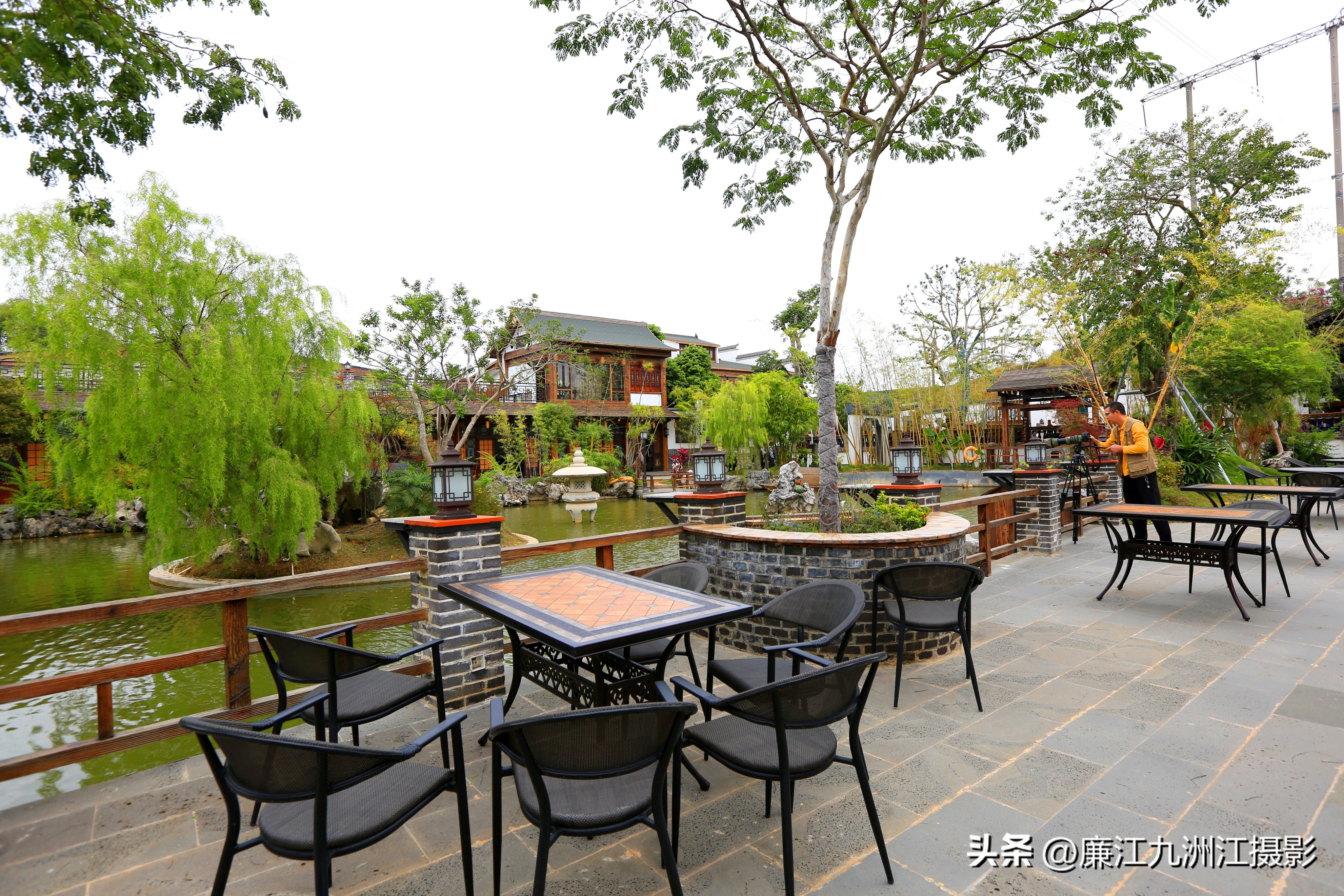 最高端的盆景展,一场惊艳的盆景展