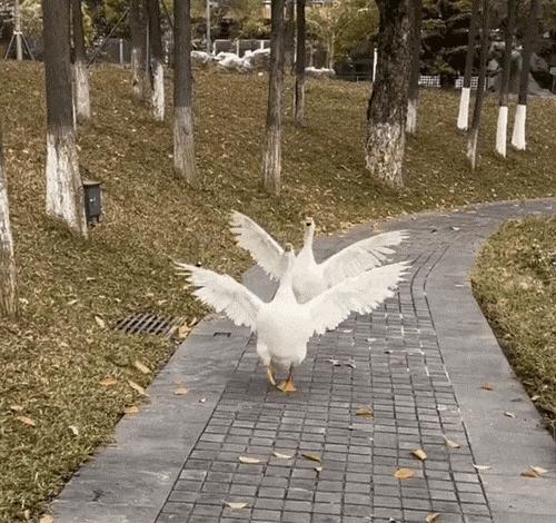 【我在岗位上】五一攻略看这一篇就够了！蜀黍总结的超实用干货！