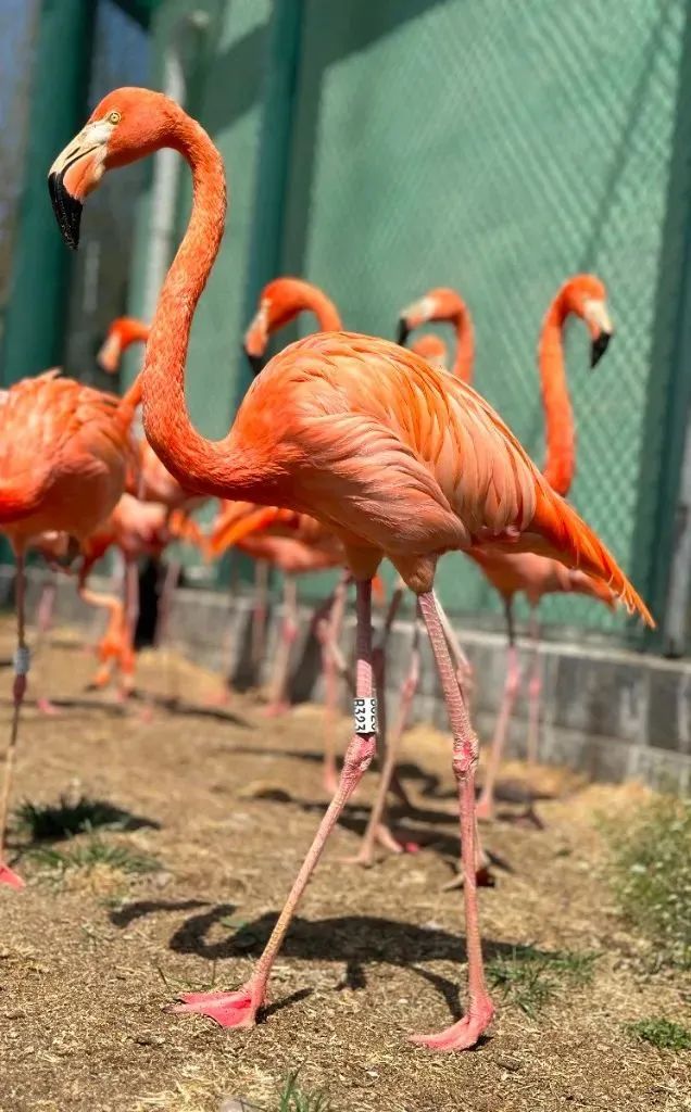 秦皇岛五一放假安排公布连休5天,秦皇岛五一旅游最新通知