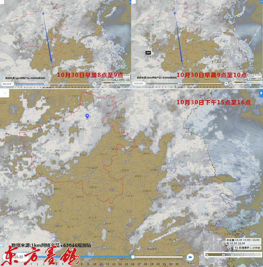 武汉福齐获奖鸽,2019武汉福齐国际集鸽名单
