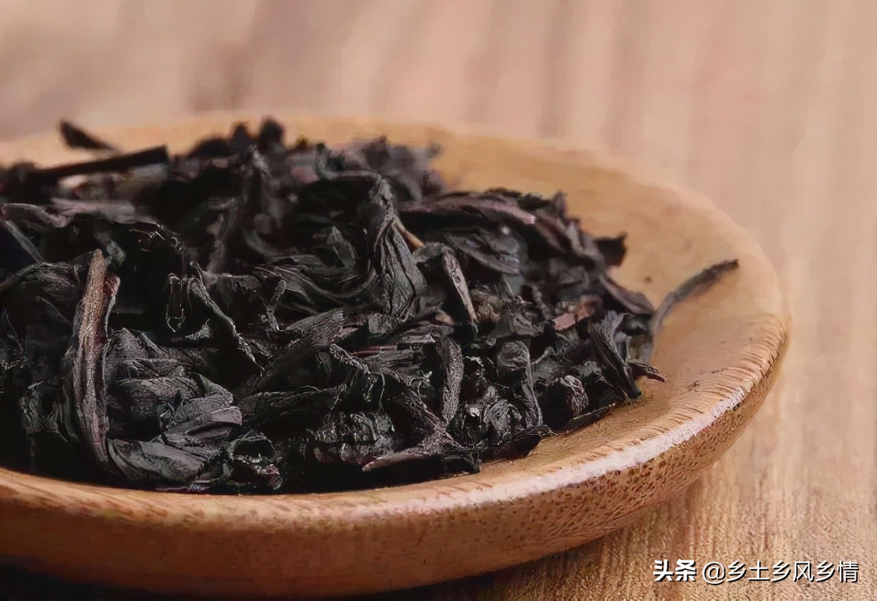 乌龙茶什么人爱喝,三得利乌龙茶是什么品种的乌龙茶